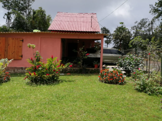 Jardin