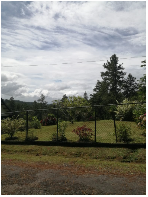 Vista