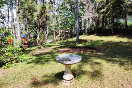 Screenshot_20260427_104308_WhatsApp